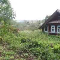 деревня Сосницы Валдайского района, август 2012 года