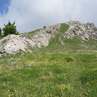 Гора Босна