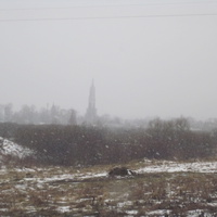 Первый снег. Январь 2012.