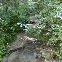 ручей в лесу