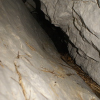 Пещера Осиновская. Шкуродёр в глубину