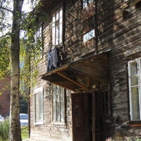 Берёза у дома моего...