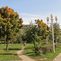 Тропинка к бульвару