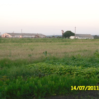 Литвинівські ферми