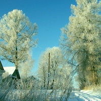 Зима в Плеханово