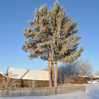 Деревня Андреево