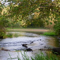 Река Орлик