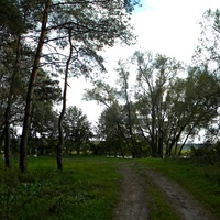 Природа села Гуево