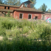 пос.Чисто-Перхурово бывшая фабрика ёлочных украшений