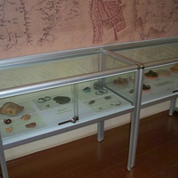 стенд с находками из краеведческого музея