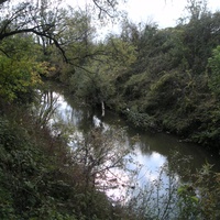 Речка Малая Сарапулка
