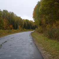 Лесная дорога