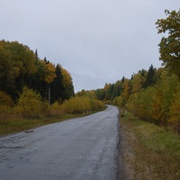Осенняя дорога