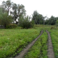 Сельская дорога в Приволье