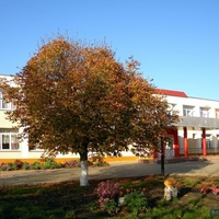 Школа села Вязовое