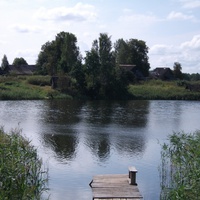 озеро Дивинец - вид на деревню Подшевелиха