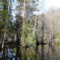 Ильичево. Весна на озере Долгое.