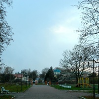 Дорожка городского парка