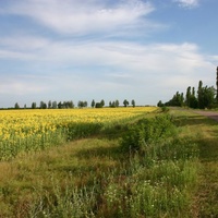 Дорога Тёткино - Белополье