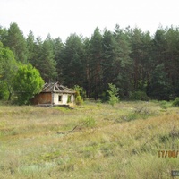 Дом у леса