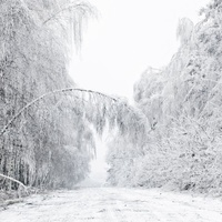 Зимова дорога