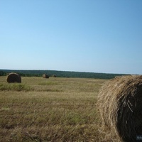 д. Поздяевская (Цеплиха)