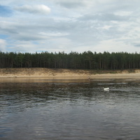 Рыбак на косе