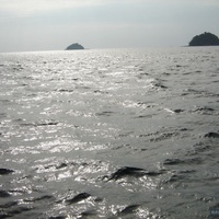 Провинция Сатун. НЕобитаемые острова в Андаманском море.
