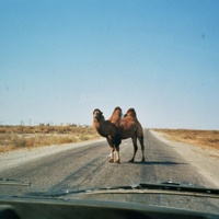 дорога на Кызылорду