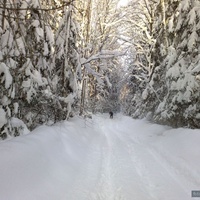Зимняя дорога в д.Озёрки