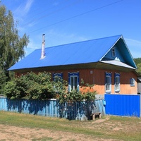 Алтаево. Дом с синей крышей.