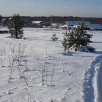 Михайловица