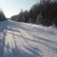 В Михайловицу