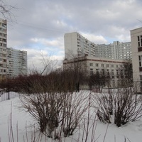 Школьная территория