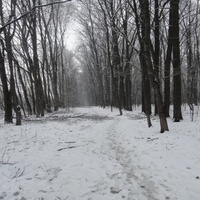 Аллея вдоль ЖД по Загорьевскому проезду
