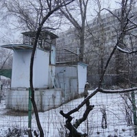 Голубятня на Загорьевском 7