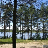 Вид на Кишинское озеро в Медведках