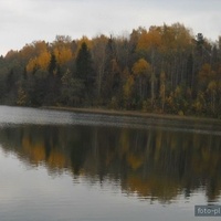 Осень на озере в Медведках