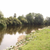 Река Ипуть(Ветка) Жаркое лето 2010 в районе поселка Жовнец