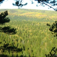 Осенний лес. Вид с Галочьих камней