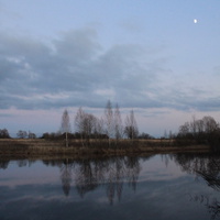 Пруд в ноябре 2012 г., с. Милеево