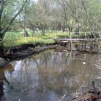 річка Борова