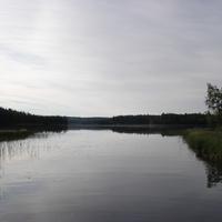 Вид на Янгозеро с р. Кукозерки