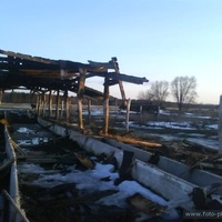 Разрушенная летняя ферма для коров