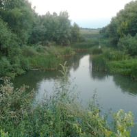 Річка Лядова