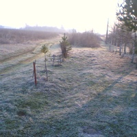Окраина дер.Курдюковка - ноябрь, утро, туман, морозец.