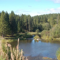 Река Козя