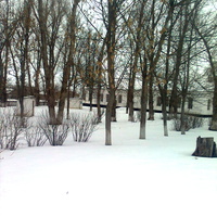Зимний школьный парк