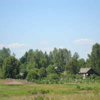 Деревня Швецово