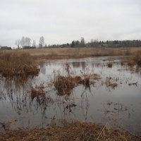 Д. Суханова, разлив реки Витка. Весна.